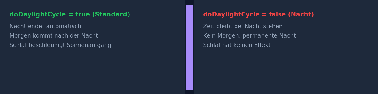 Tag-/Nacht-Zyklus: Server bei Nacht, Zeit eingefroren